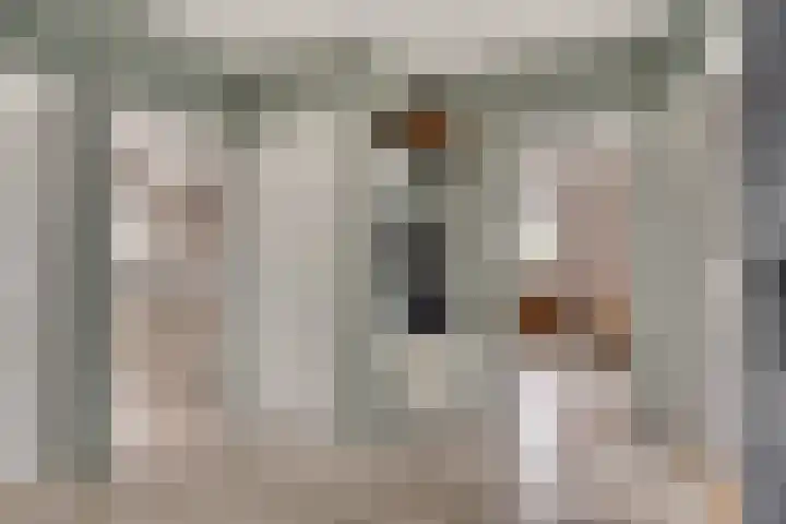 Huibert Pootlaan 12 Alkmaar thumbnail 7