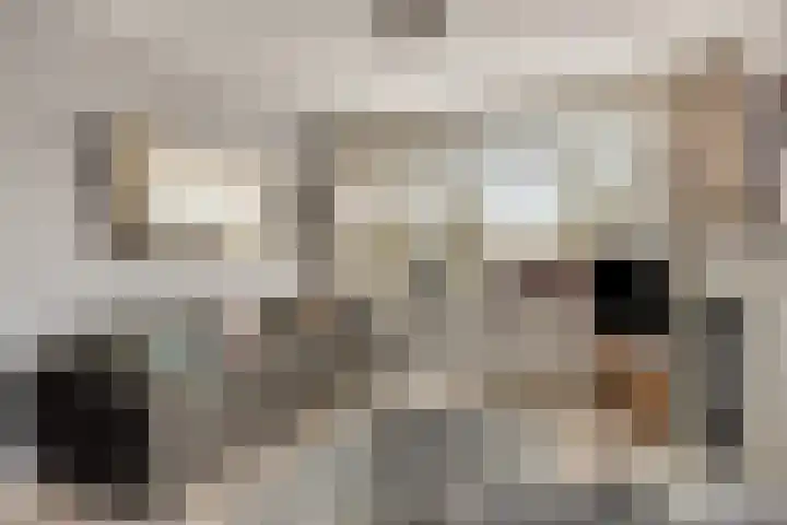 Huibert Pootlaan 12 Alkmaar thumbnail 9