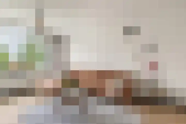 Huibert Pootlaan 132 Alkmaar thumbnail 12
