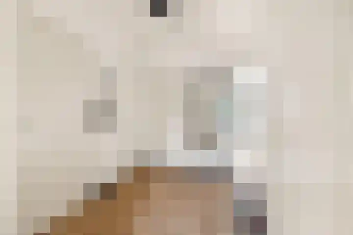 Huibert Pootlaan 132 Alkmaar thumbnail 18