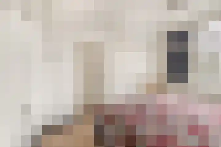 Huibert Pootlaan 132 Alkmaar thumbnail 27