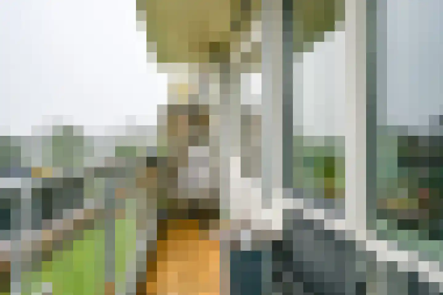 Huibert Pootlaan 138 Alkmaar thumbnail 14