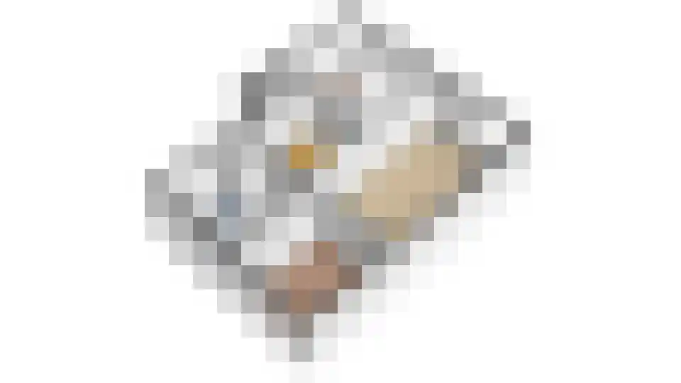 Huibert Pootlaan 138 Alkmaar thumbnail 41