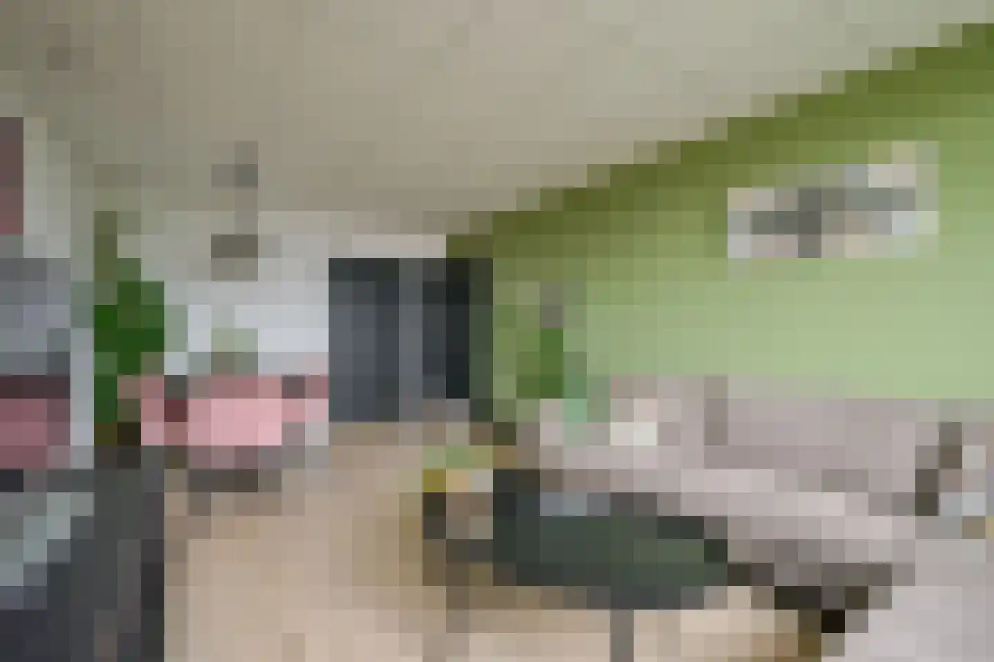 Huibert Pootlaan 138 Alkmaar thumbnail 5