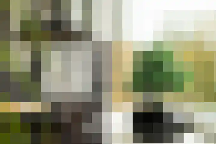 Huibert Pootlaan 162 Alkmaar thumbnail 10