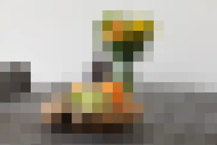Huibert Pootlaan 162 Alkmaar thumbnail 16