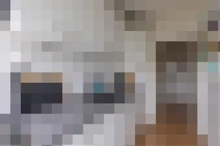 Huibert Pootlaan 162 Alkmaar thumbnail 20