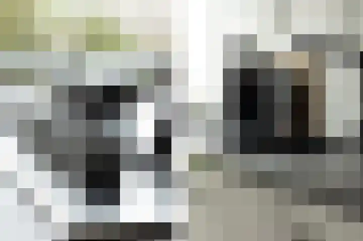 Huibert Pootlaan 162 Alkmaar thumbnail 21