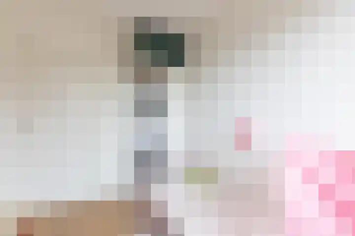 Huibert Pootlaan 162 Alkmaar thumbnail 35