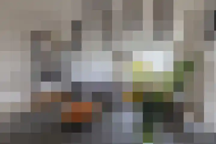 Huibert Pootlaan 162 Alkmaar thumbnail 7