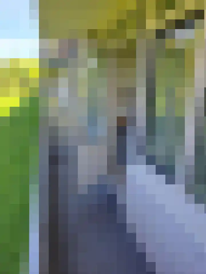 Huibert Pootlaan 190 Alkmaar thumbnail 13