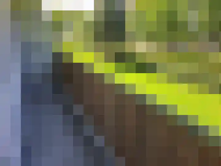 Huibert Pootlaan 190 Alkmaar thumbnail 14
