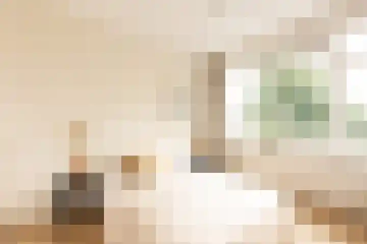Huibert Pootlaan 194 Alkmaar thumbnail 14