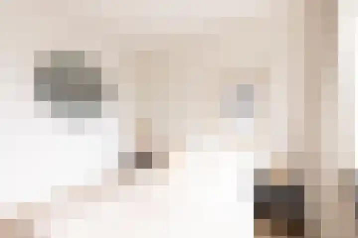 Huibert Pootlaan 194 Alkmaar thumbnail 16