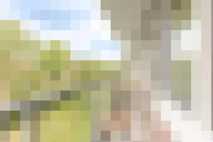 Huibert Pootlaan 194 Alkmaar thumbnail 28
