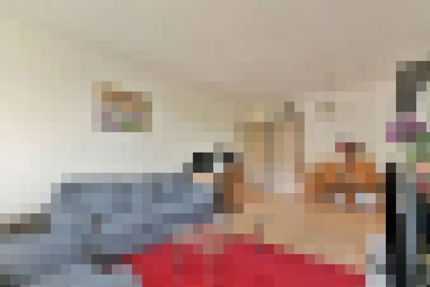 Huibert Pootlaan 196 Alkmaar thumbnail 11
