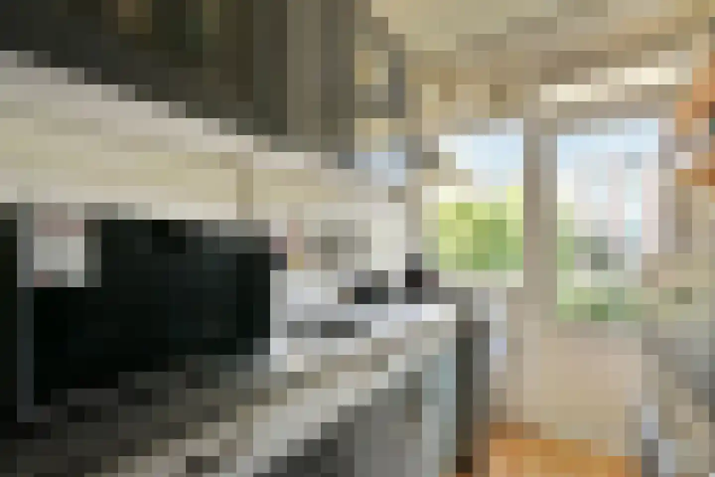 Huibert Pootlaan 196 Alkmaar thumbnail 12