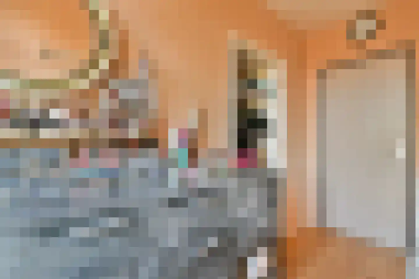 Huibert Pootlaan 196 Alkmaar thumbnail 19