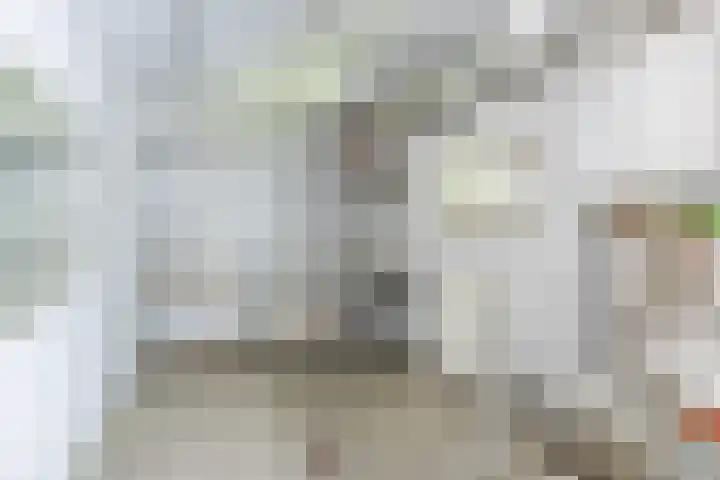 Huibert Pootlaan 228 Alkmaar thumbnail 17