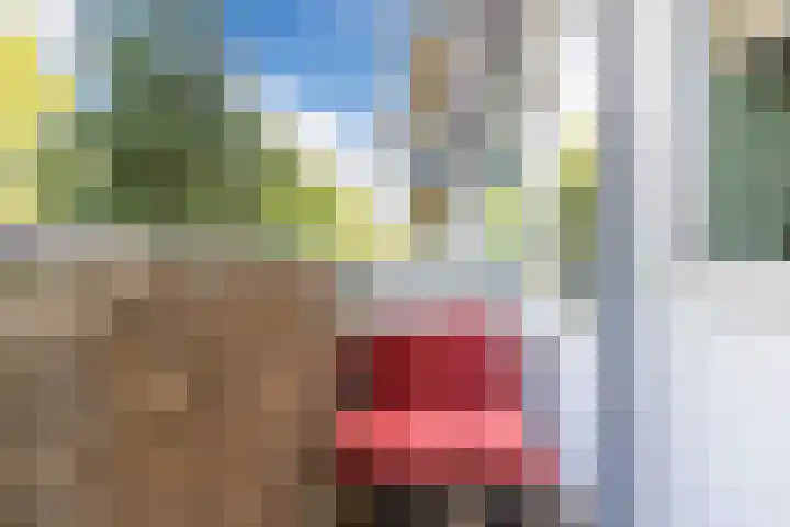 Huibert Pootlaan 28 Alkmaar thumbnail 27