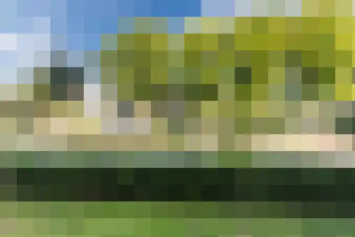 Huibert Pootlaan 28 Alkmaar thumbnail 30