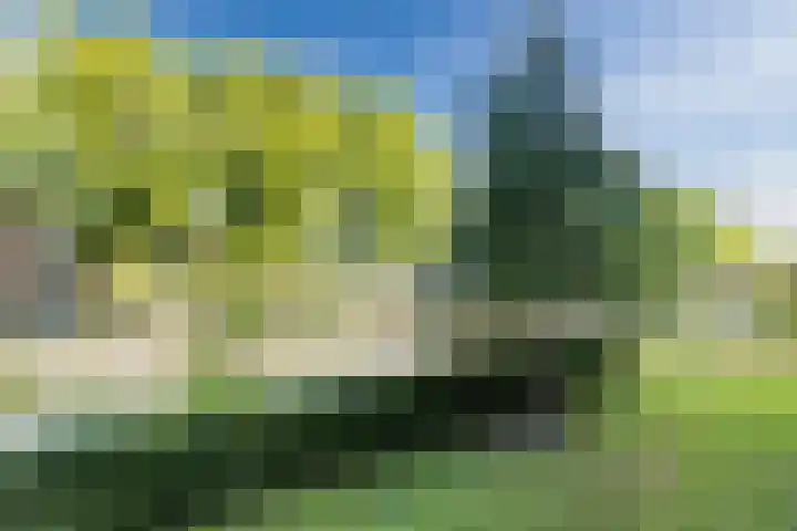 Huibert Pootlaan 28 Alkmaar thumbnail 31