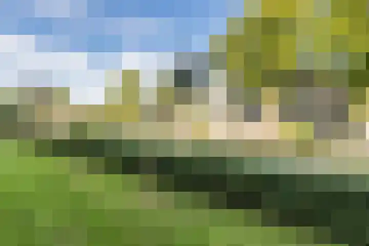 Huibert Pootlaan 28 Alkmaar thumbnail 32
