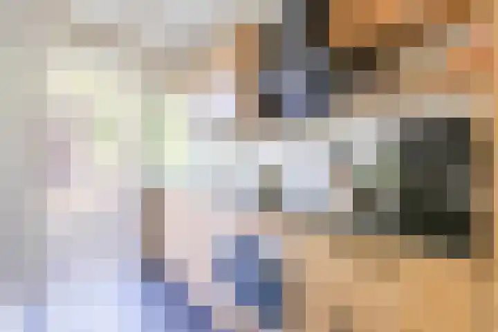 Huibert Pootlaan 28 Alkmaar thumbnail 8