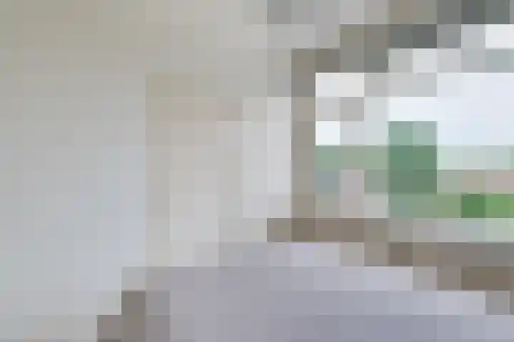 Huibert Pootlaan 34 Alkmaar thumbnail 13