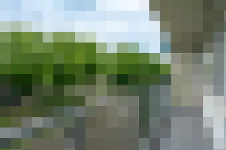 Huibert Pootlaan 34 Alkmaar thumbnail 23