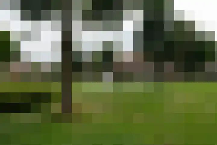 Huibert Pootlaan 34 Alkmaar thumbnail 25