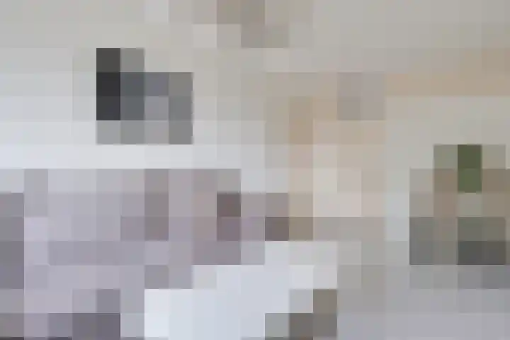 Huibert Pootlaan 34 Alkmaar thumbnail 5