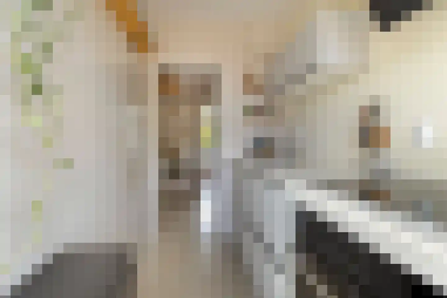 Huibert Pootlaan 92 Alkmaar thumbnail 4