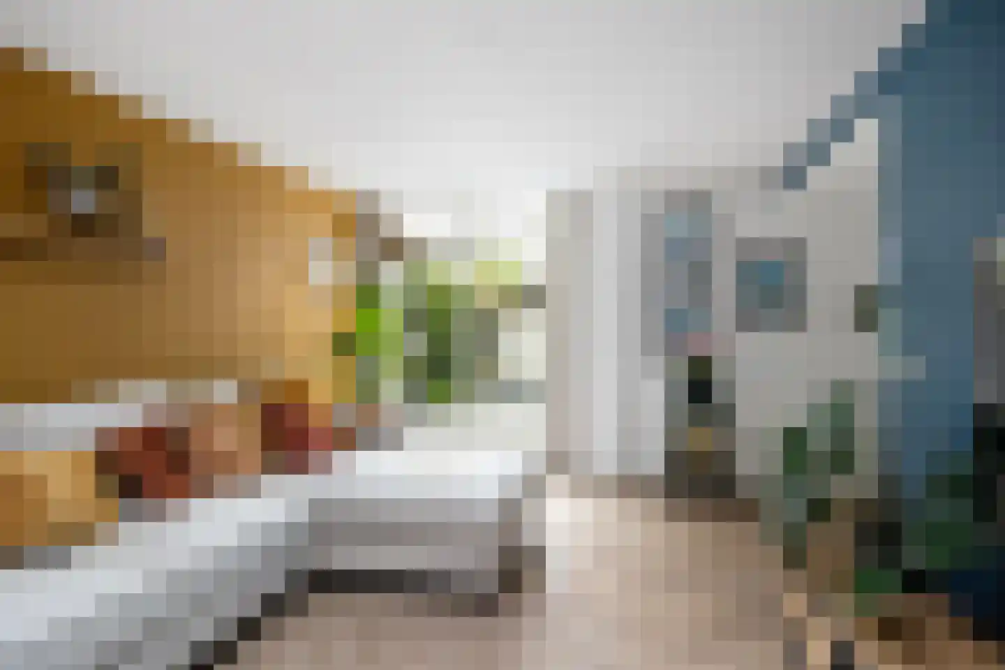 Huibert van der Hoekpln 1 Mijnsheerenland thumbnail 12