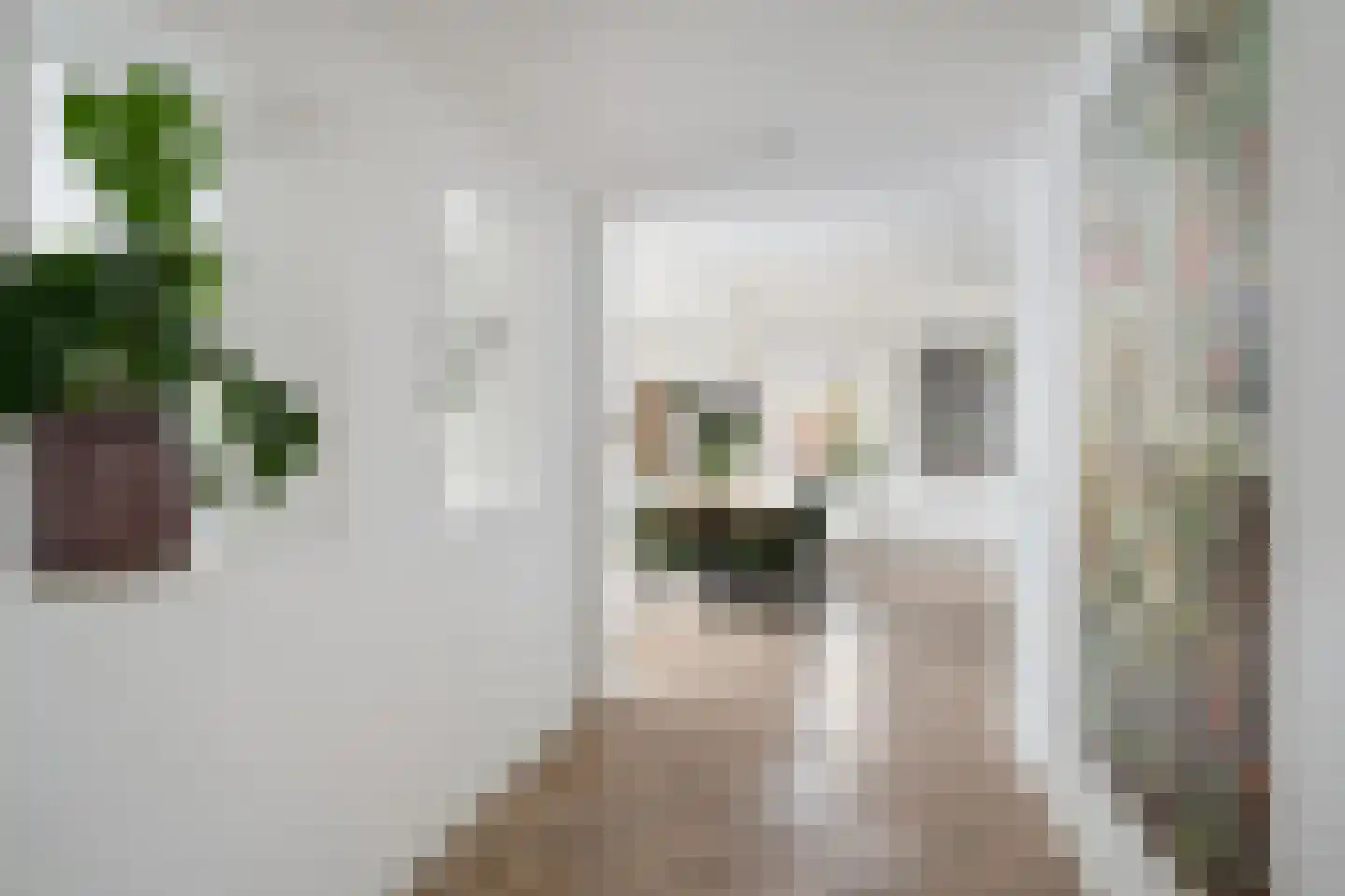 Huibert van der Hoekpln 1 Mijnsheerenland thumbnail 14