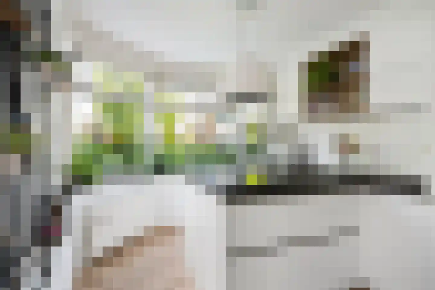 Huibert van der Hoekpln 1 Mijnsheerenland thumbnail 18