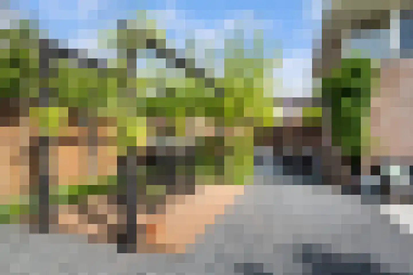 Huibert van der Hoekpln 1 Mijnsheerenland thumbnail 20