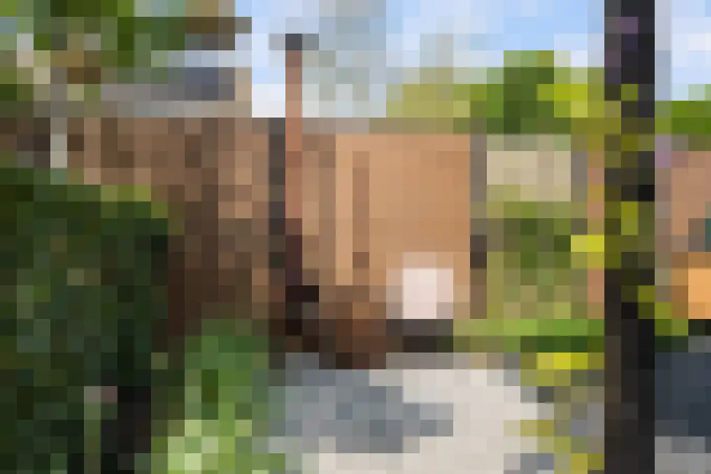 Huibert van der Hoekpln 1 Mijnsheerenland thumbnail 21