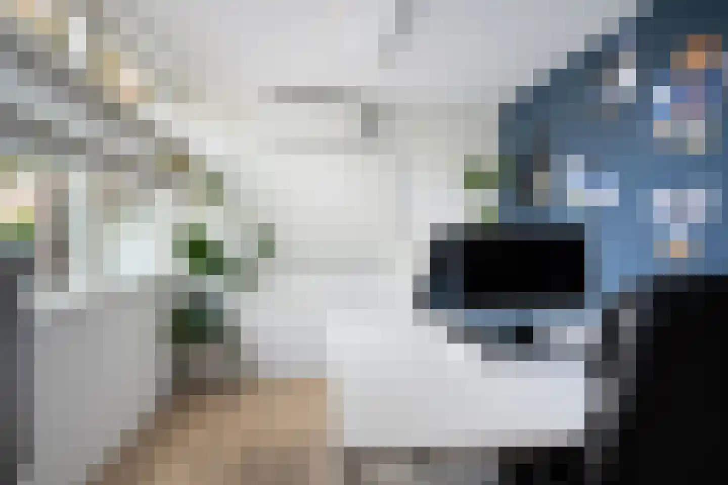 Huibert van der Hoekpln 1 Mijnsheerenland thumbnail 31