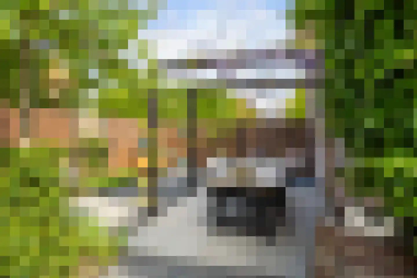 Huibert van der Hoekpln 1 Mijnsheerenland thumbnail 4