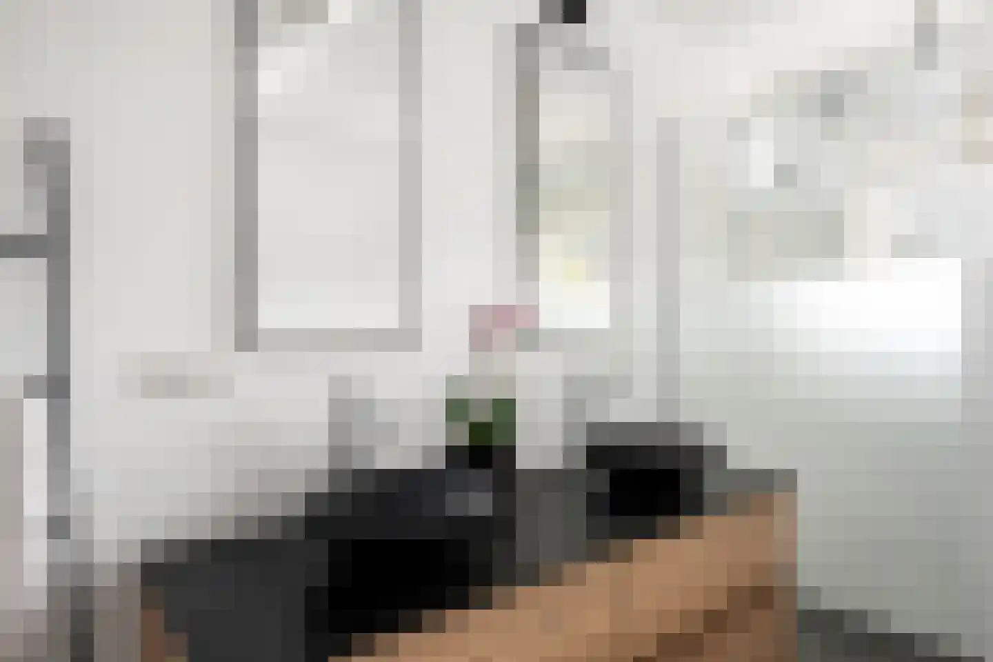 Huibert van der Hoekpln 1 Mijnsheerenland thumbnail 42