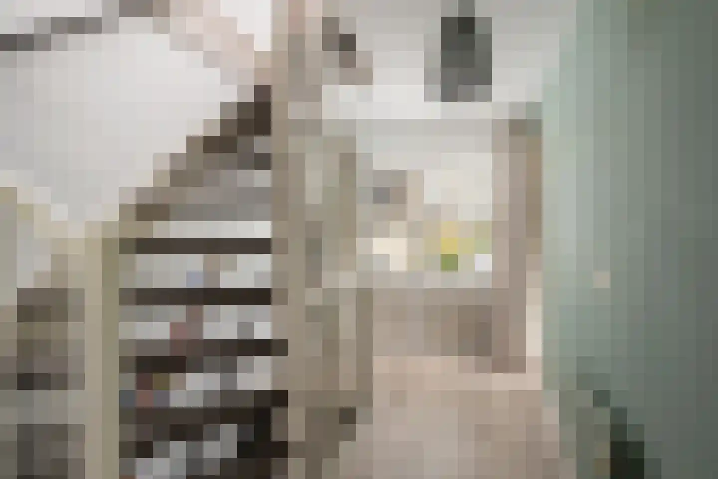 Huibert van der Hoekpln 1 Mijnsheerenland thumbnail 48