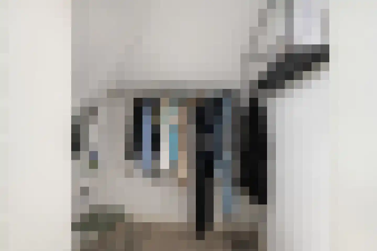 Huibert van der Hoekpln 1 Mijnsheerenland thumbnail 54