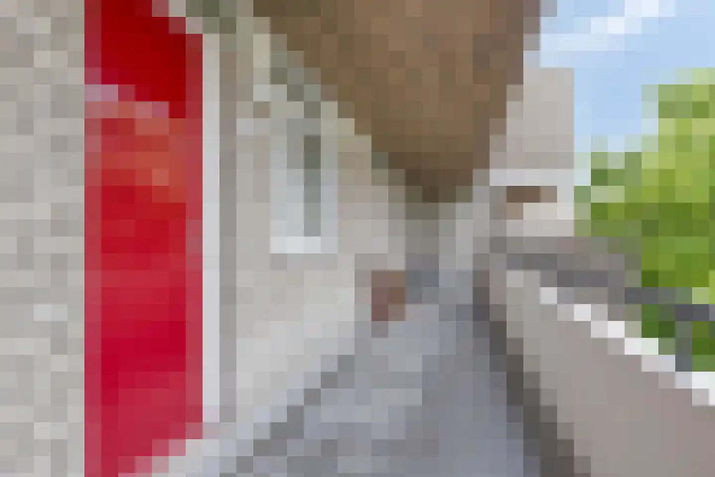 Huibertplaat 102 Zwolle thumbnail 18