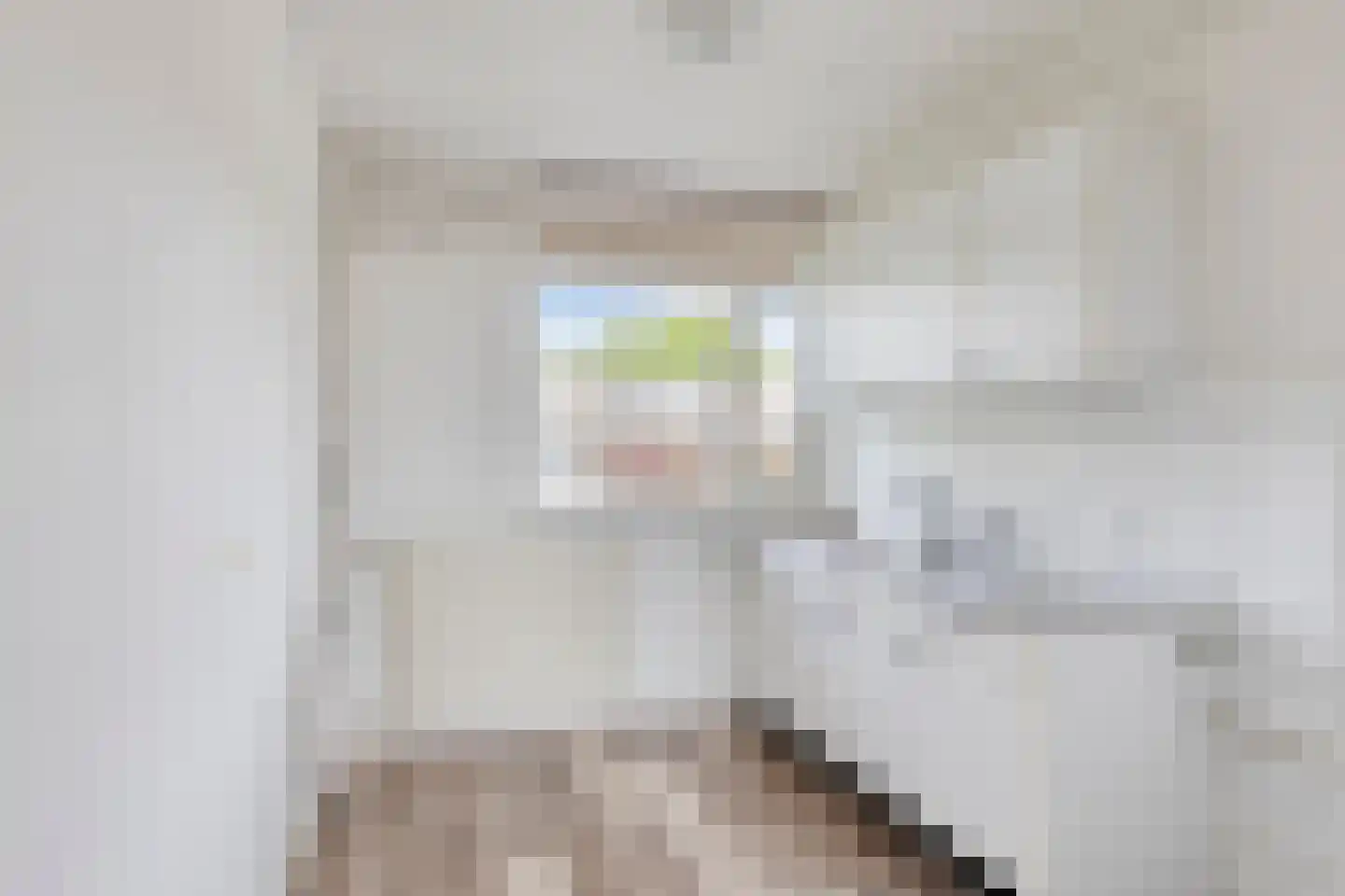 Huibertplaat 102 Zwolle thumbnail 4