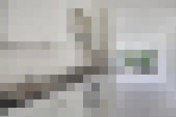 Huibertplaat 17 Zwolle thumbnail 10