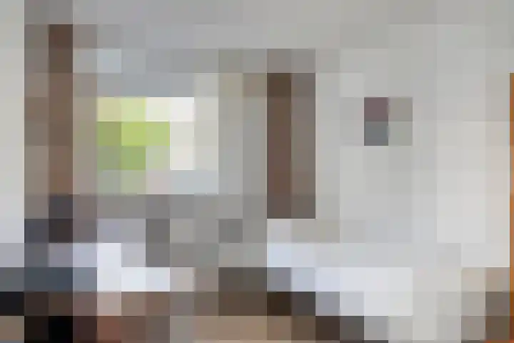 Huibertplaat 19 Zwolle thumbnail 22