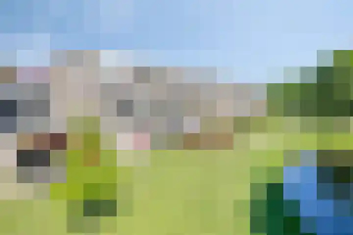 Huibertplaat 19 Zwolle thumbnail 28