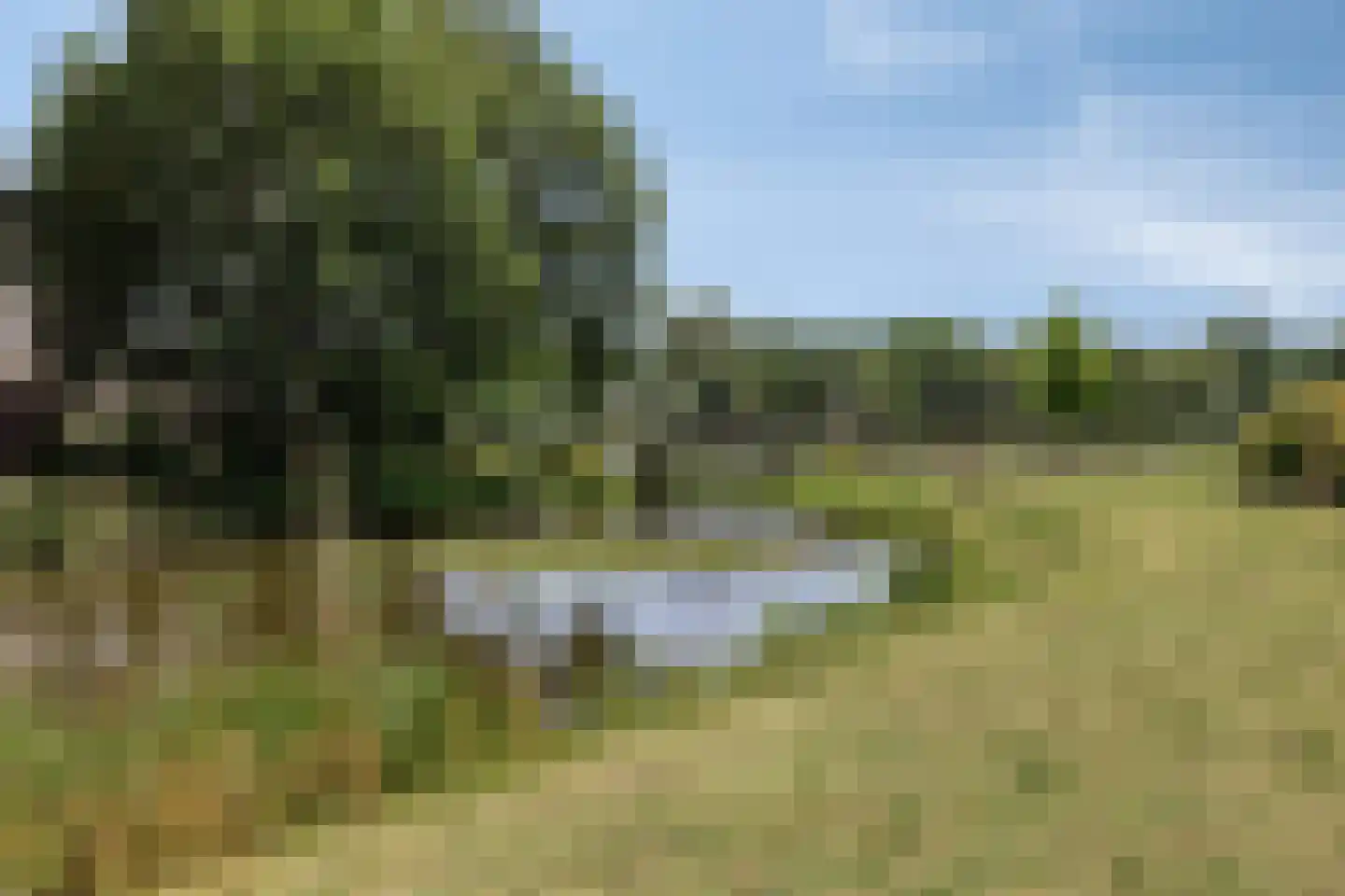 Huibertplaat 22 Zwolle thumbnail 10