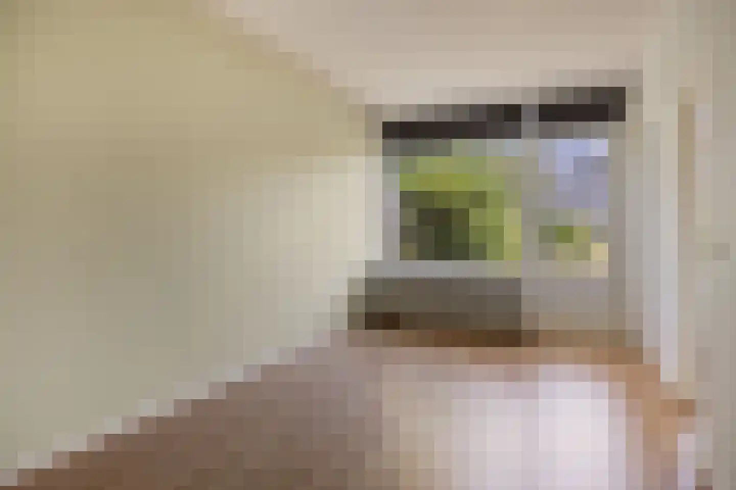 Huibertplaat 22 Zwolle thumbnail 18